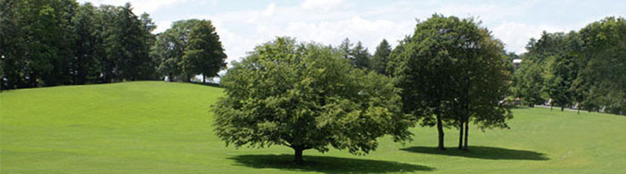 a3